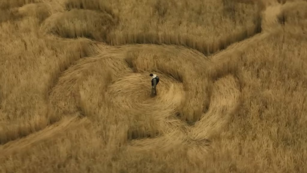 A man stands in the middle of an elaborate crop circle