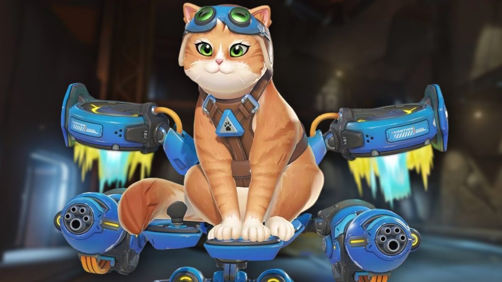 Blizzard wants to free Overwatch's Jetpack Cat from her perma-ban cage, but needs to work out the limits of her antics