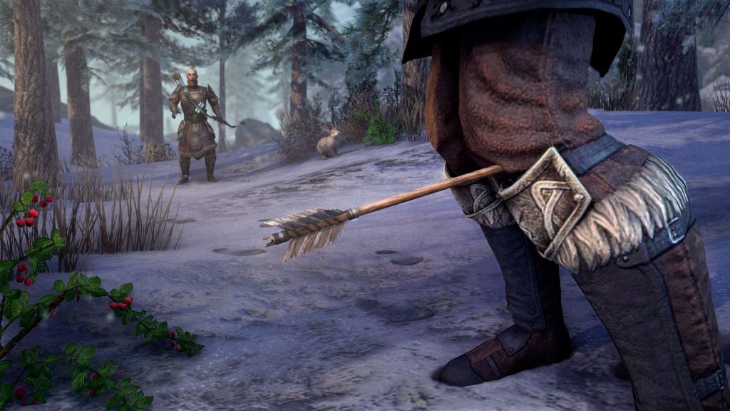 The Elder Scrolls Online